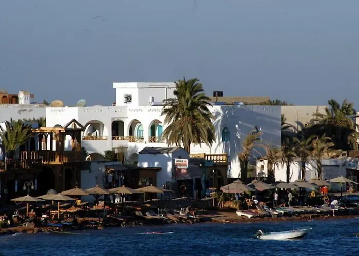 Planet Oasis 3* Dahab