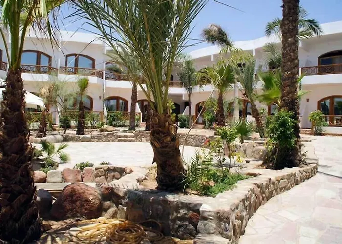 Resort Planet Oasis