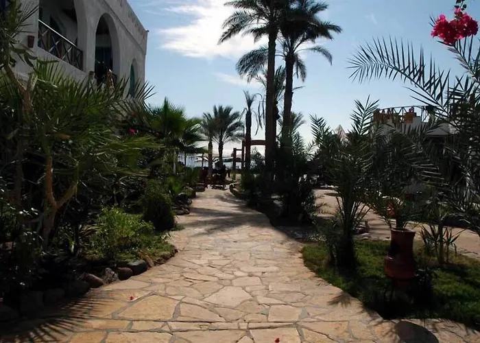 Resort Planet Oasis Dahab