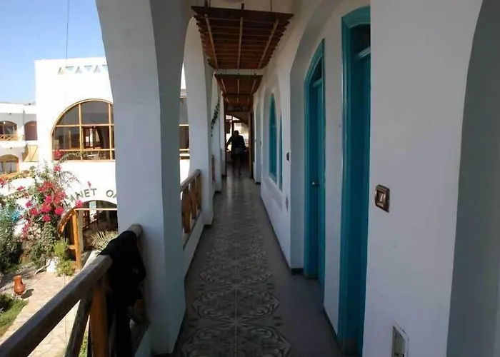 Planet Oasis Dahab