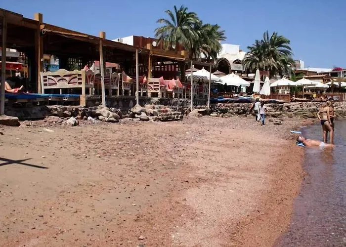 Planet Oasis 3*