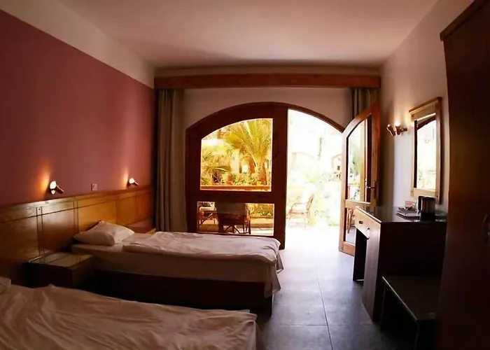 Planet Oasis 3*