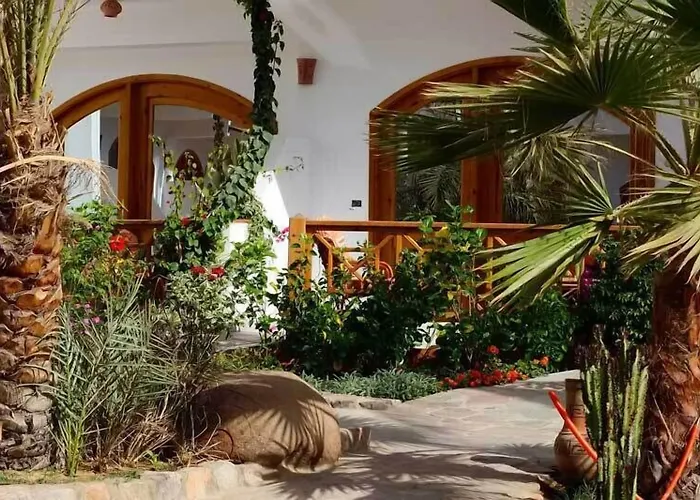 Planet Oasis 3*