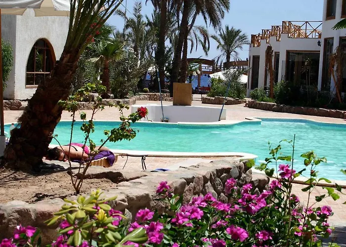 Resort Planet Oasis 3*