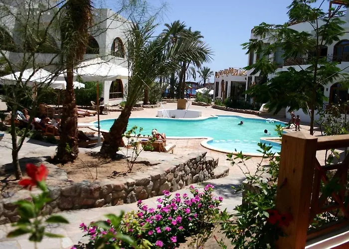 Planet Oasis Dahab