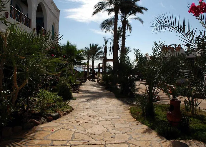 Resort Planet Oasis 3*
