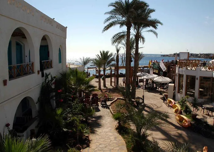 Planet Oasis Dahab