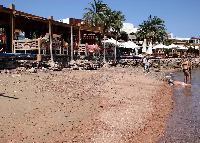 Planet Oasis Dahab